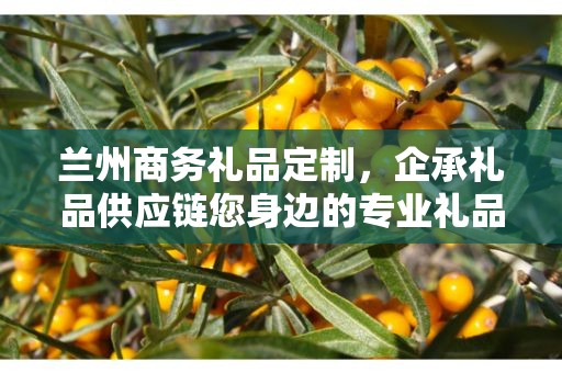 兰州商务礼品定制，企承礼品供应链您身边的专业礼品定制公司