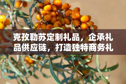克孜勒苏定制礼品，企承礼品供应链，打造独特商务礼品之选